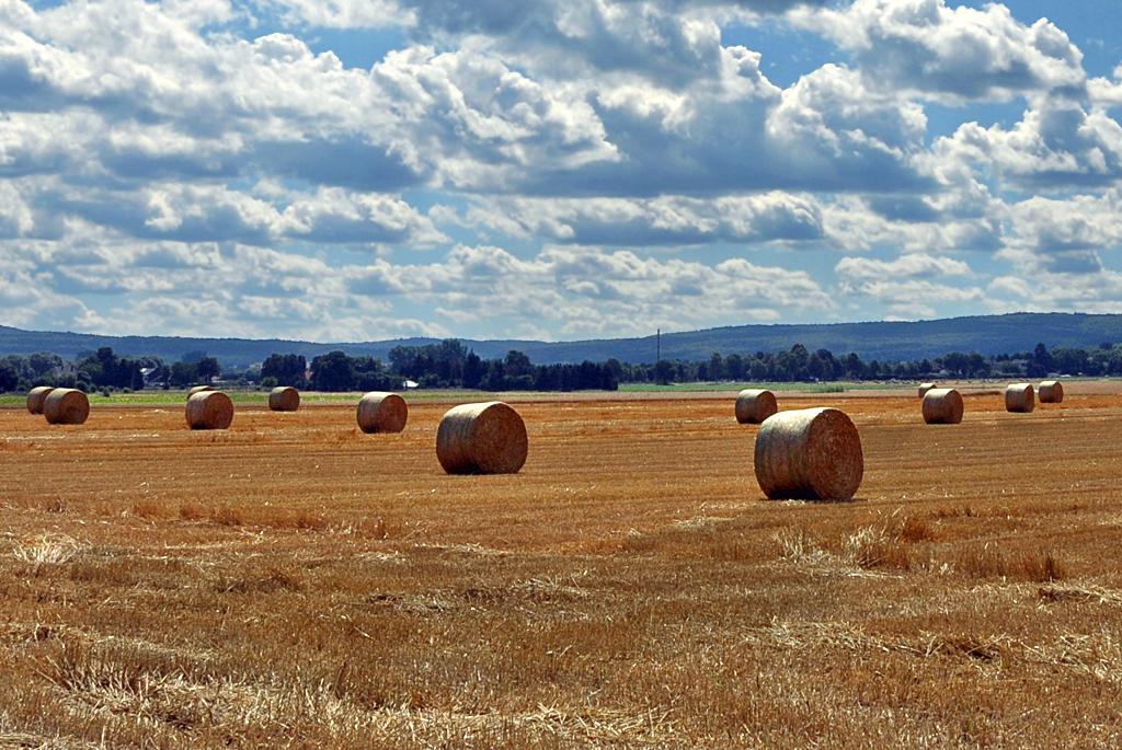 Sommerzeit - Ernte- und Strohballenzeit - 17.08.2013