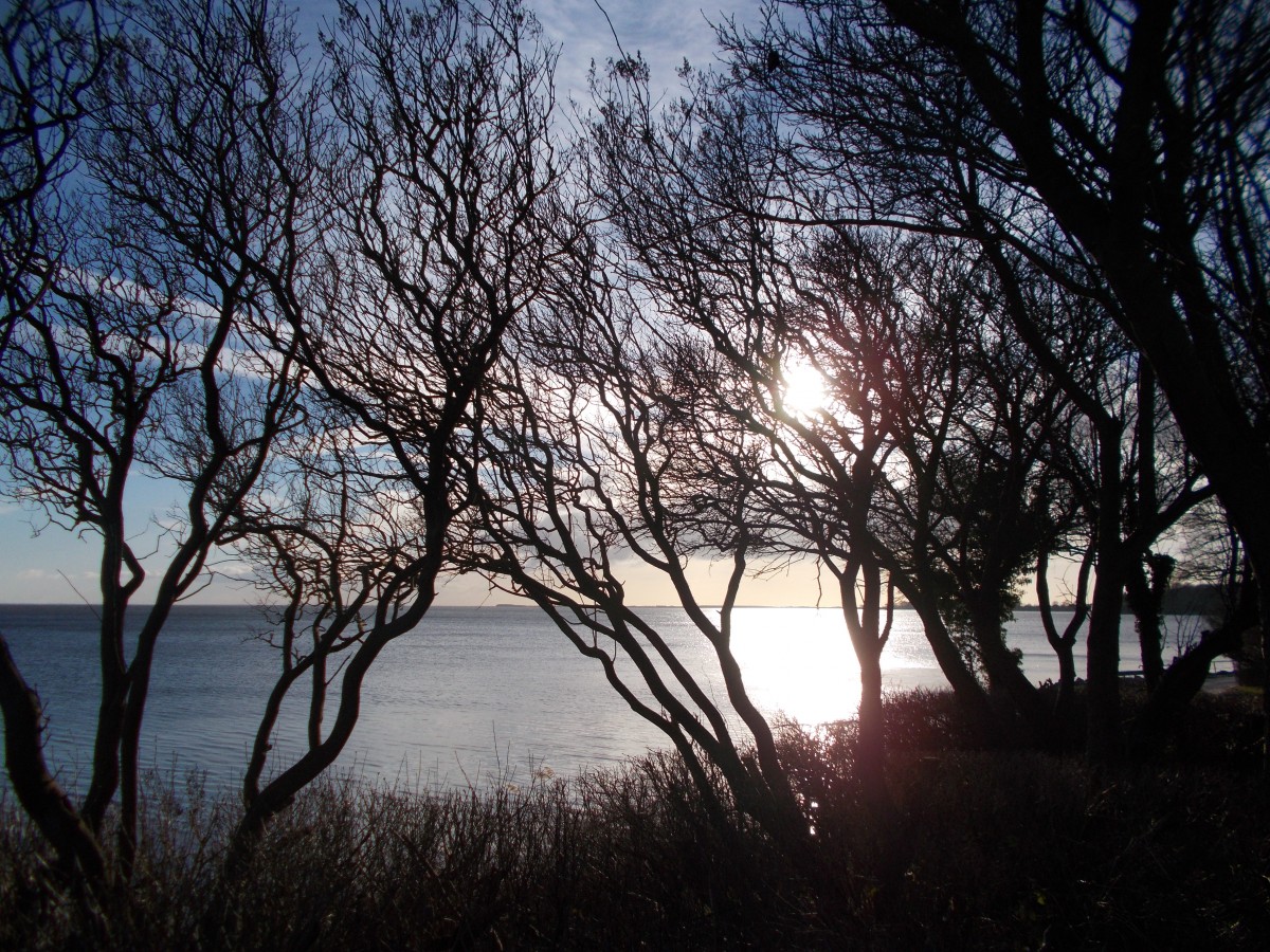 Sonne am Ufer bei Neuendorf am 08.Februar 2015.