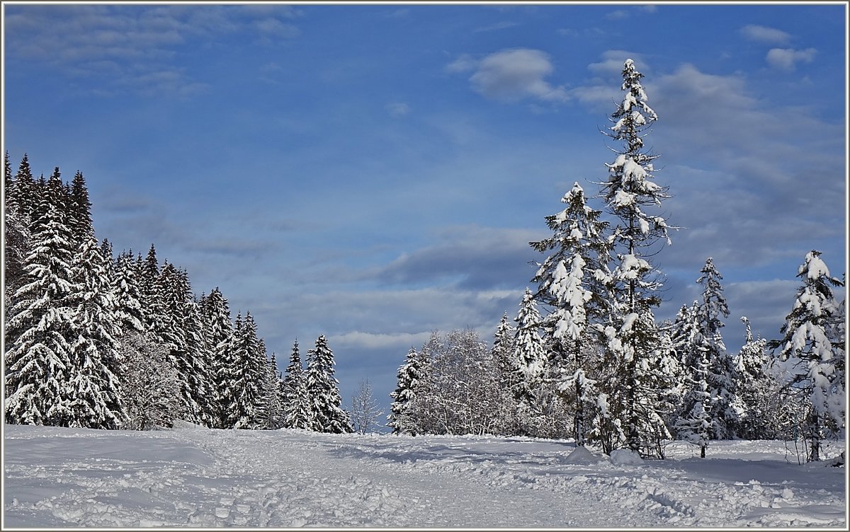 Sonne und Schnee- so schön kann Winter sein.
(14.12.2020)