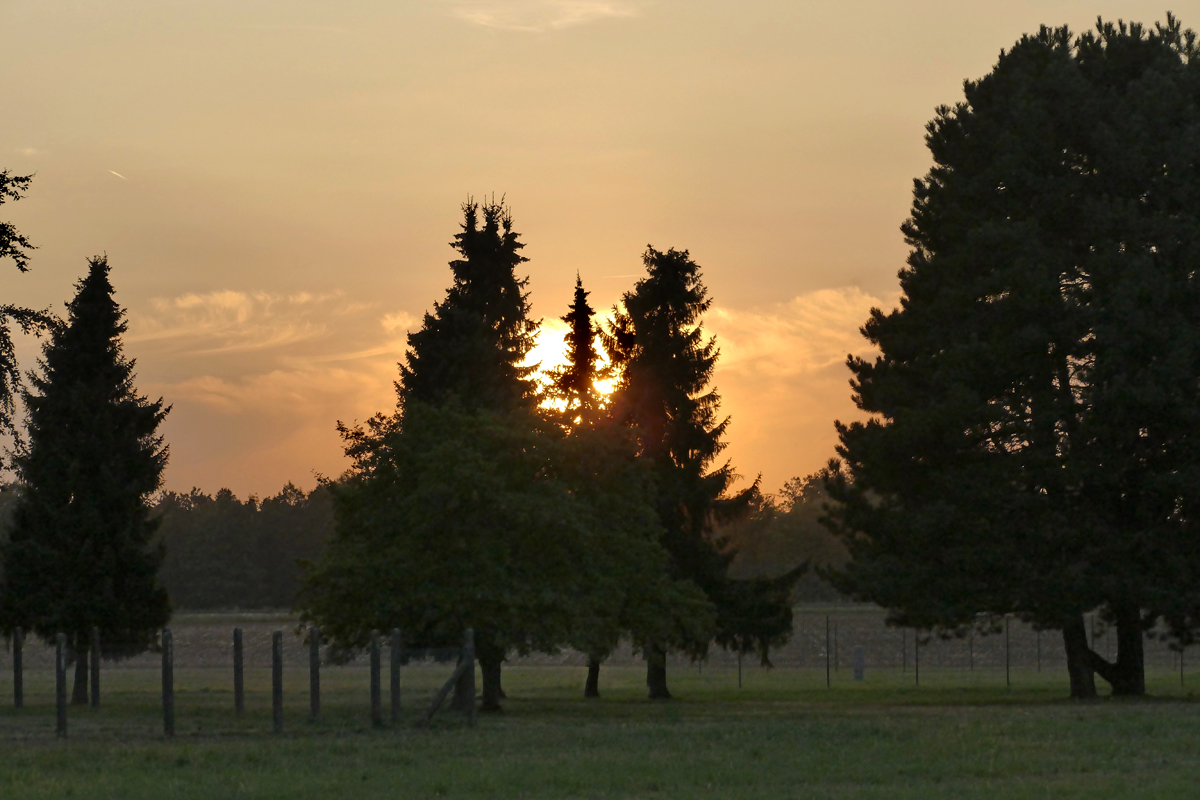 Sonne verschwindet hinter den Bäumen bei Bad Münstereifel - 28.08.2018