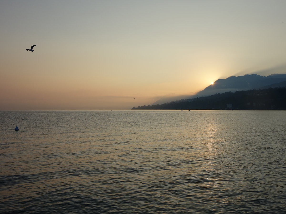 Sonnenaufgang am Lac Leman bei Thonon (25.09.2016)