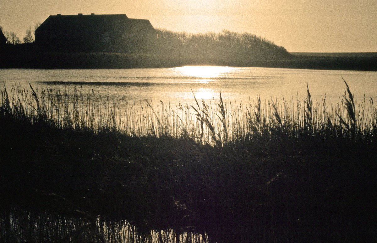 Sonnenaufgang an der alten Kirche von Pellworm. Bild vom Dia. Aufnahme: Januar 2000.