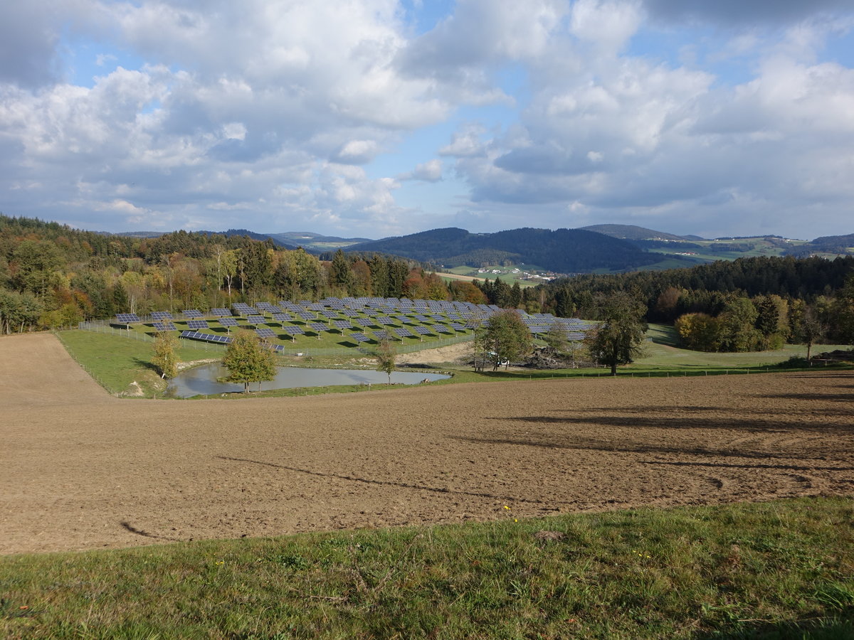 Sonnenkollektoren auf Wiesen bei Wildenranna (21.10.2018)