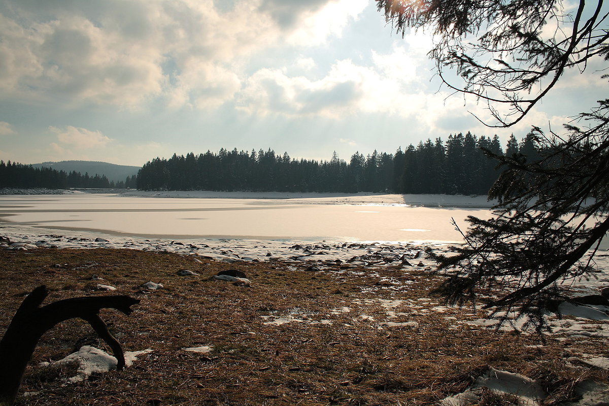 Sonnenschein am Ufer des Oderteichs; der Waldsee ist zugefroren und es liegt noch jede Menge Schnee in der Landschaft des Nationalparks. Aufnahme vom Nachmittag des 27.02.2016...