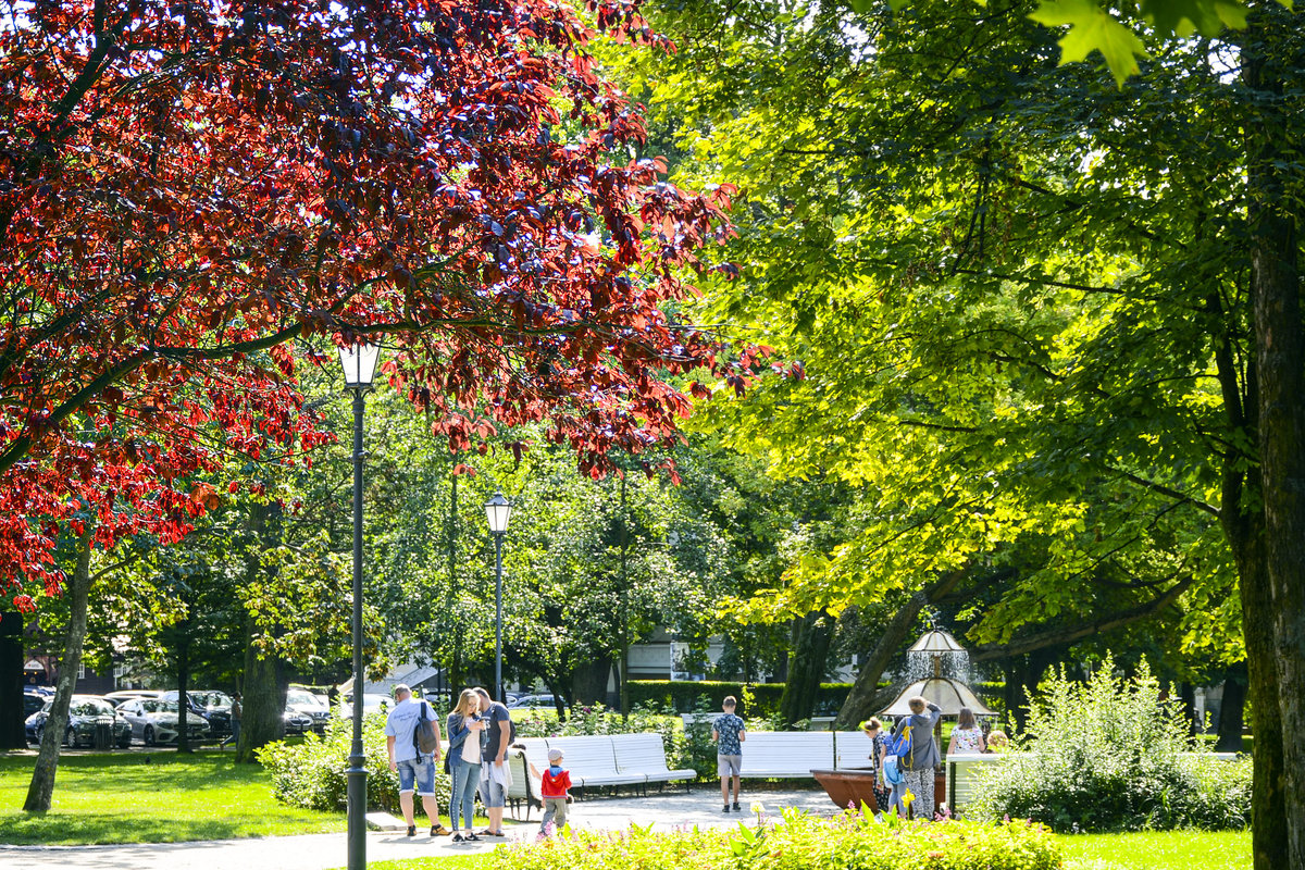 Sonnenschein im Kurpark von Zoppot / Sopot. Aufnahme: 14. August 2019.