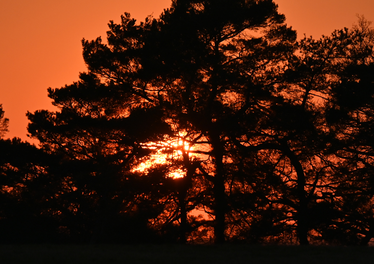 Sonnenuntergang / Abendstimmung in der Eifel - 04.03.2022