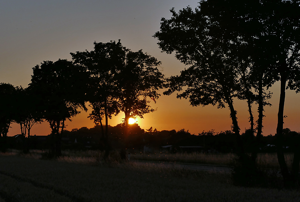 Sonnenuntergang / Abendstimmung in der Voreifel bei Euskirchen - 29.06.2018