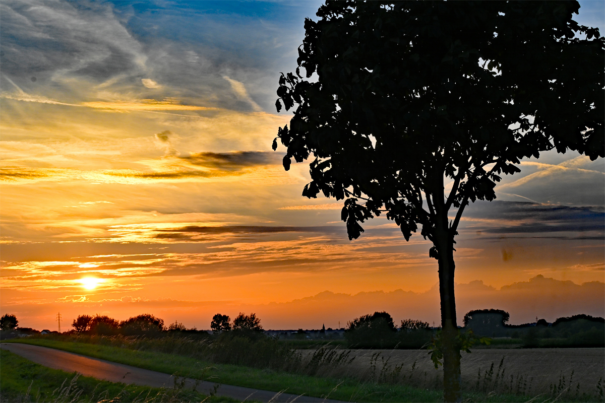 Sonnenuntergang, Abendstimmung und Baum in der Eifel - 14.08.2023