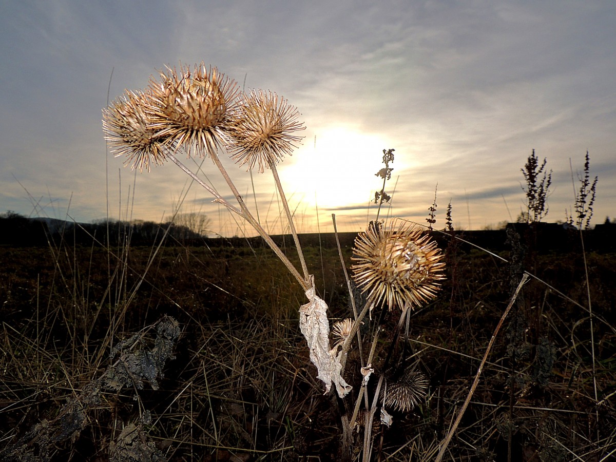 Sonnenuntergang am Heiligabend bei Niederbrunn (Gde.Neuhofen/Innkreis); 131224