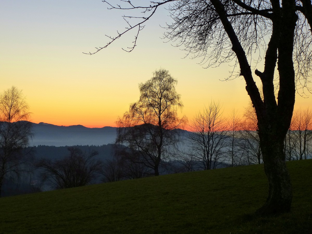 Sonnenuntergang am Lindenberg bei St.Peter im Schwarzwald, Dez.2013