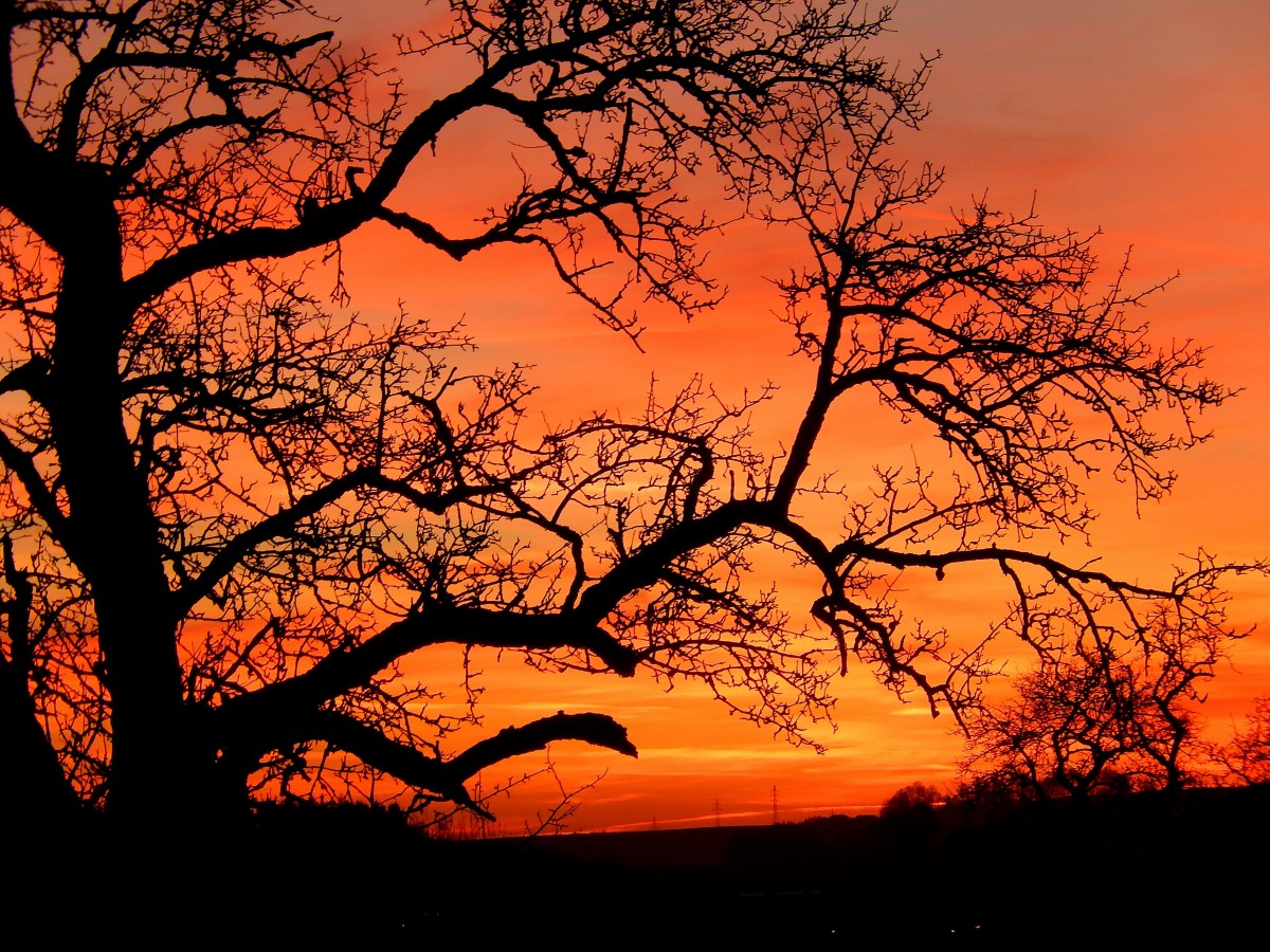 Sonnenuntergang am Sonnenhang bei Hohenzell; 131203