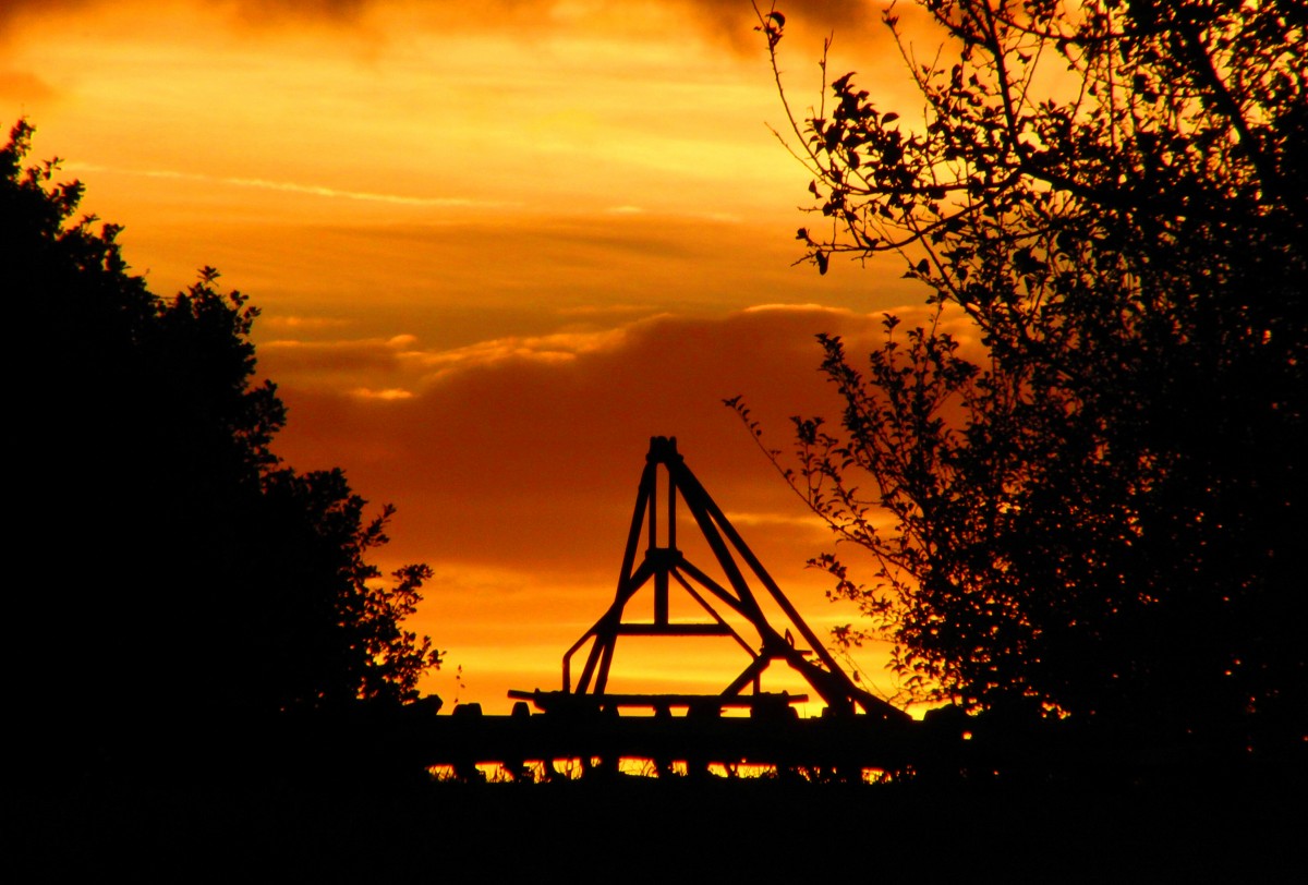 Sonnenuntergang am  Weinberg  bei Bischwind a.R. mit landwirtschaftlichem Gerät als Bildmittelpunkt, aufgenommen am 23.10.2014