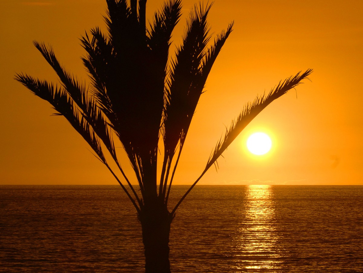 Sonnenuntergang in Arguineguín - Gran Canaria. Aufnahme: Oktober 2009.