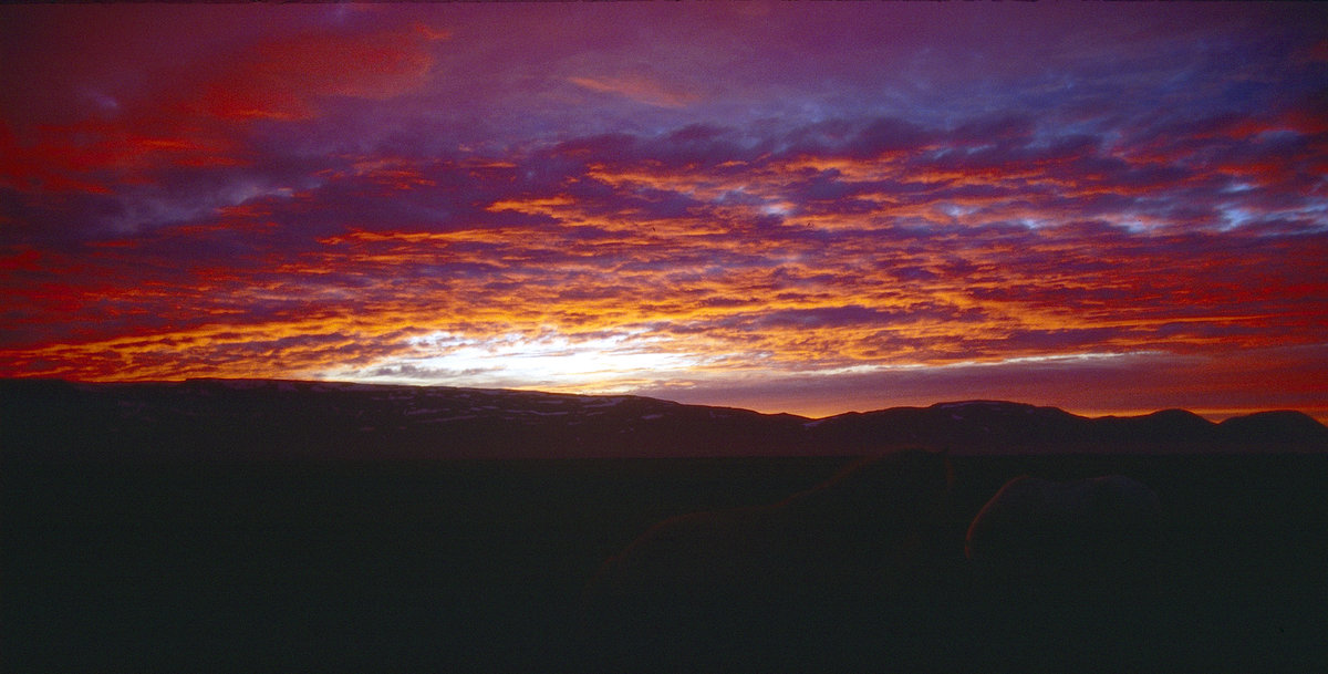 Sonnenuntergang bei Reykjanesfólkvangur in Island. Bild vom Dia. Aufnahme: August 1995.