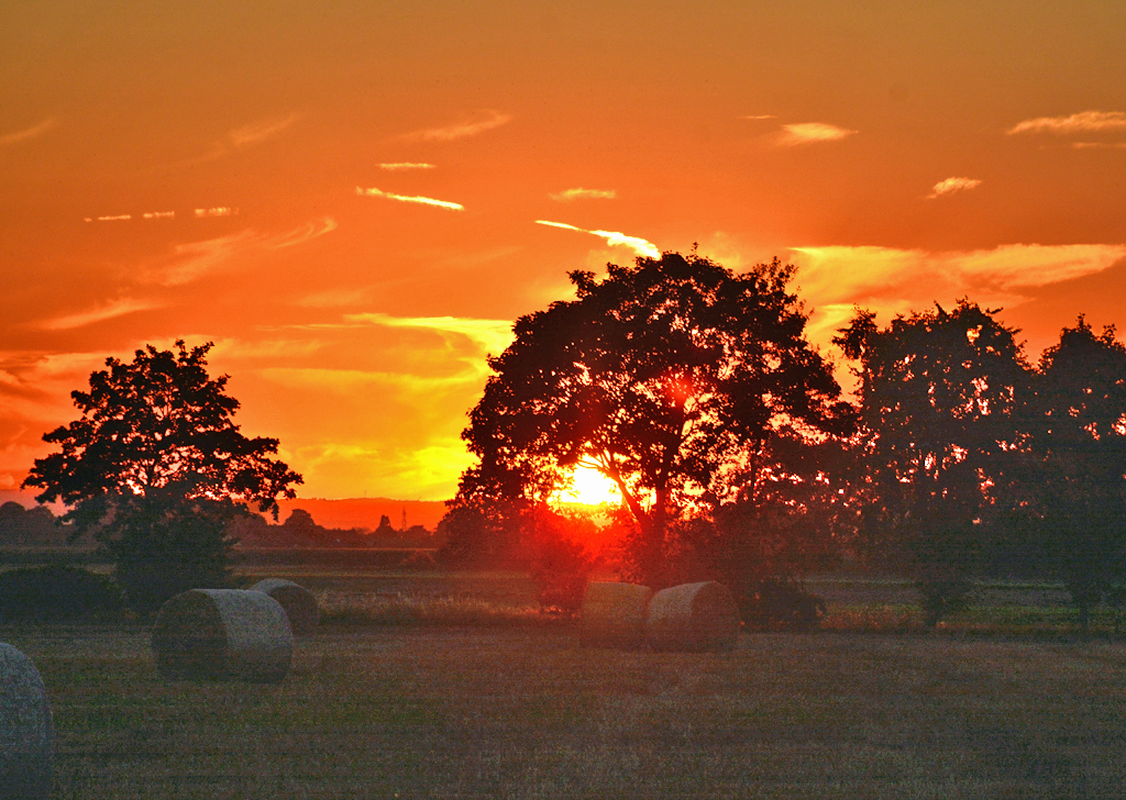 Sonnenuntergang in der Eifel, im Vordergrund Heuballen und Bäume im letzten Tageslicht - 24.08.2016