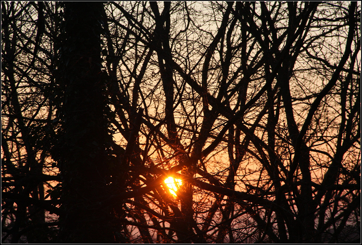 Sonnenuntergang -

Ein Gewirr aus Ästen und Zweigen vor der untergehenden Sonne. 

Schwäbisch Gmünd, 14.12.2016 (M)

