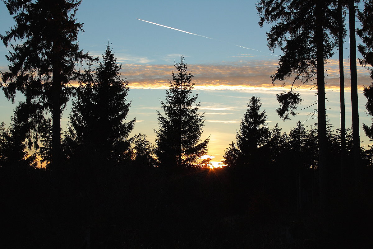 Sonnenuntergang hinter Bäumen an der Hahnenkleer Waldstraße; Aufnahme vom frühen Abend des 15.11.2018...