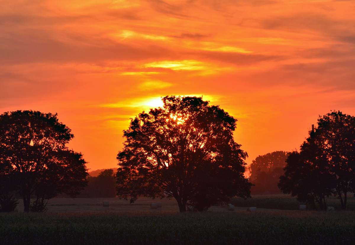 Sonnenuntergang hinter Bäumen über der Eifel - 02.08.2015