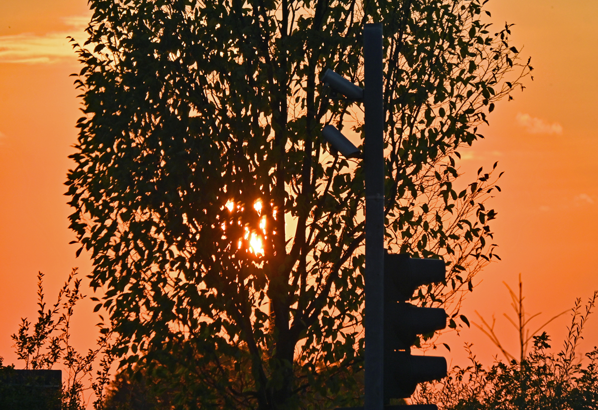 Sonnenuntergang, hinter Bäumen versteckt, über der Eifel - 31.08.2022