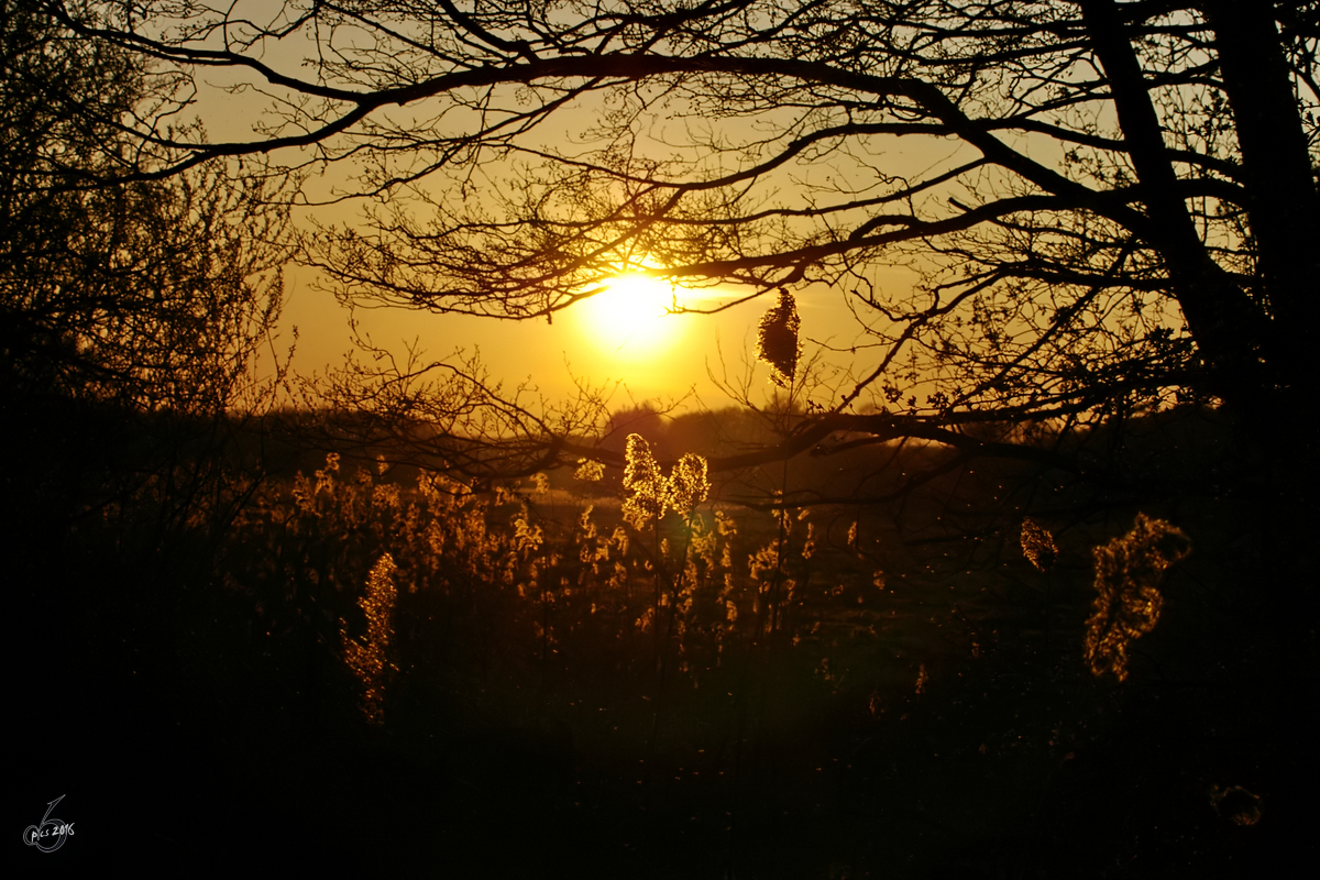 Sonnenuntergang hinter dem Nebeltal. (Linstow, April 2007)