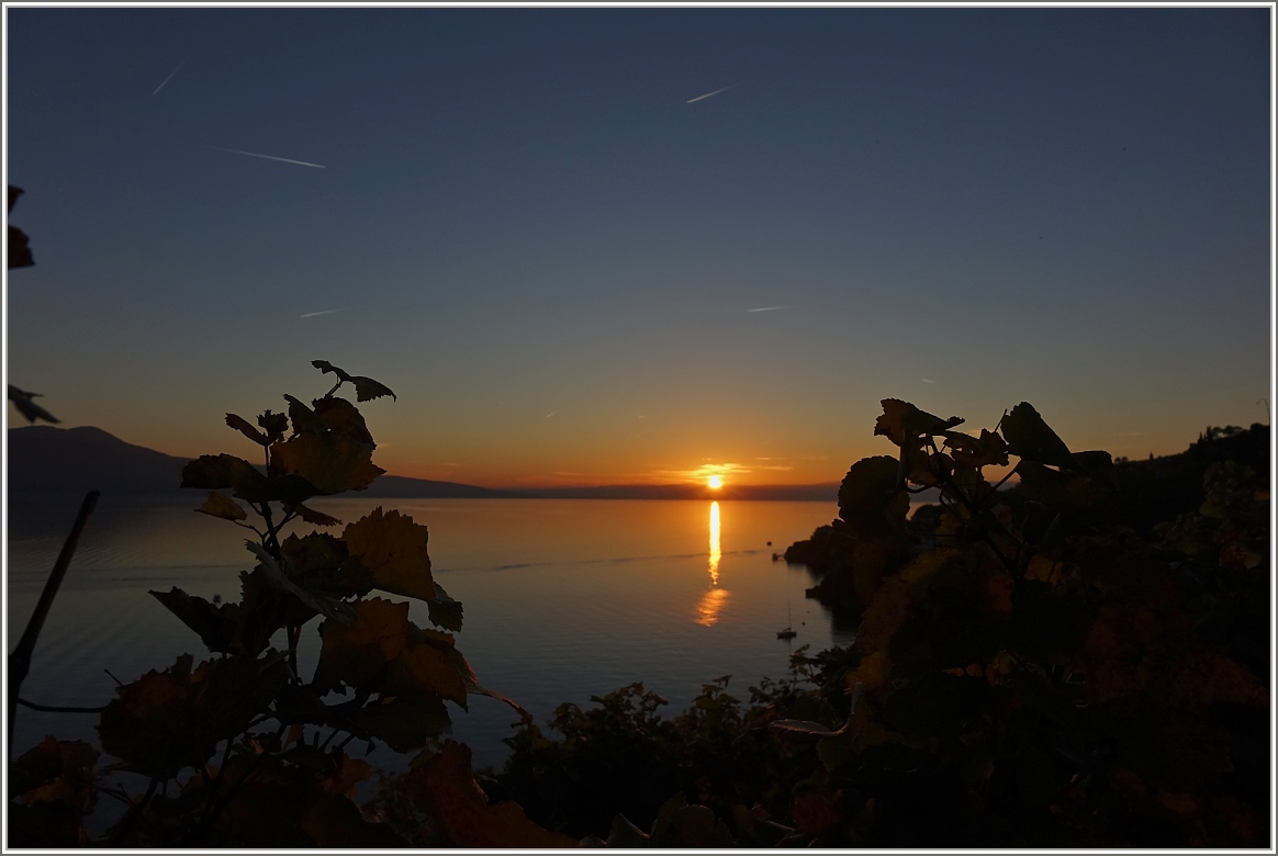 Sonnenuntergang I am Genfersee im Oktober 2017
(16.10.2017)