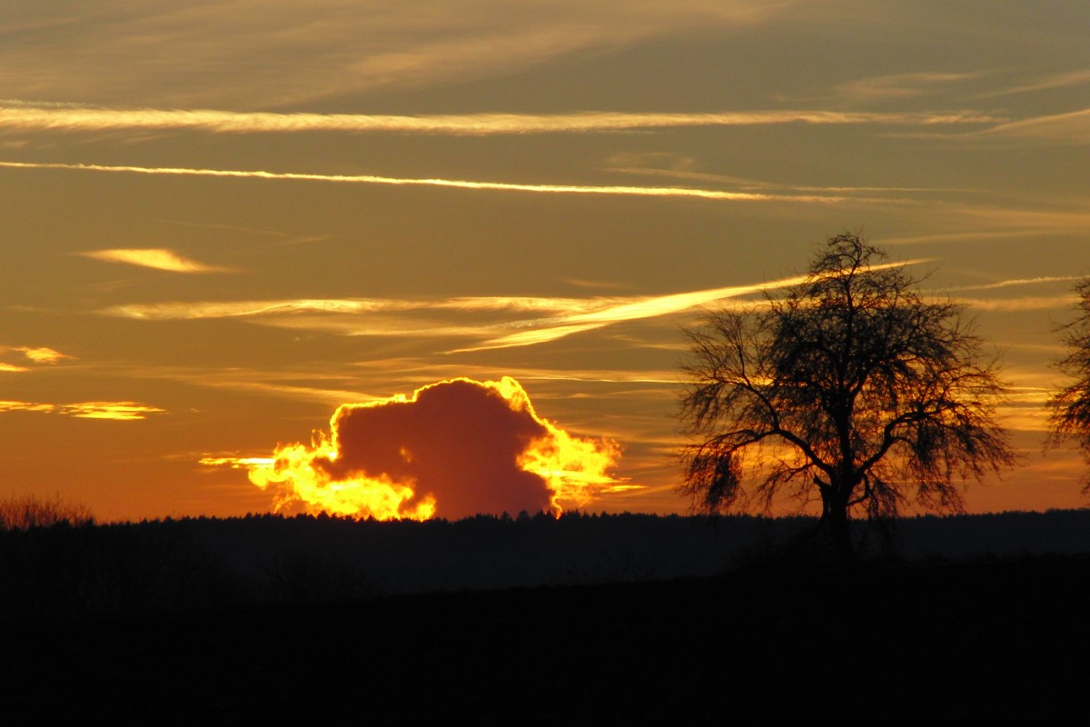 Sonnenuntergang in der Nähe von Hofheim i. Ufr.am 27.11.2013,eisig kalt und klarer Himmel