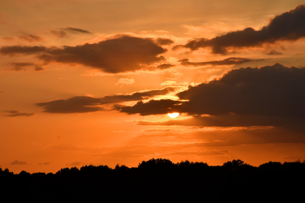 Sonnenuntergang nebenbei bei der Bahnfotografie festgehalten. 3km östlich von Büchen, 31.08.2018 .