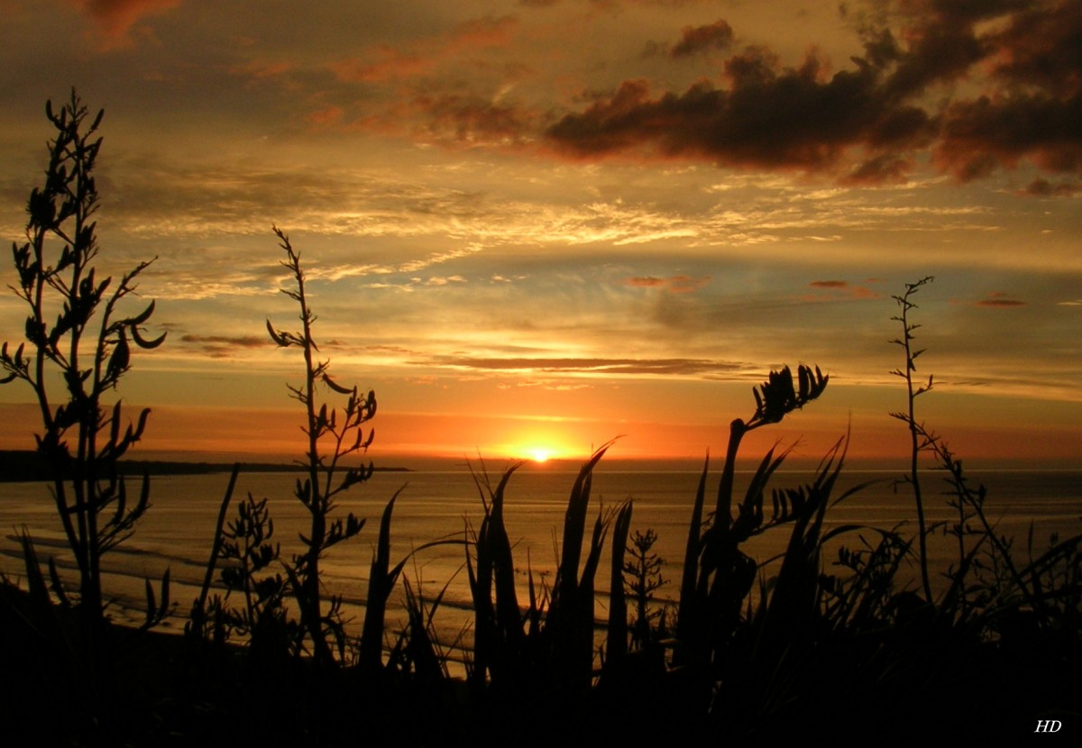 Sonnenuntergang in New Plymouth auf der Nordinsel von Neuseeland. New Plymouth ist die größte Stadt der Region Taranaki.
Aufgenommen im Januar 2011.