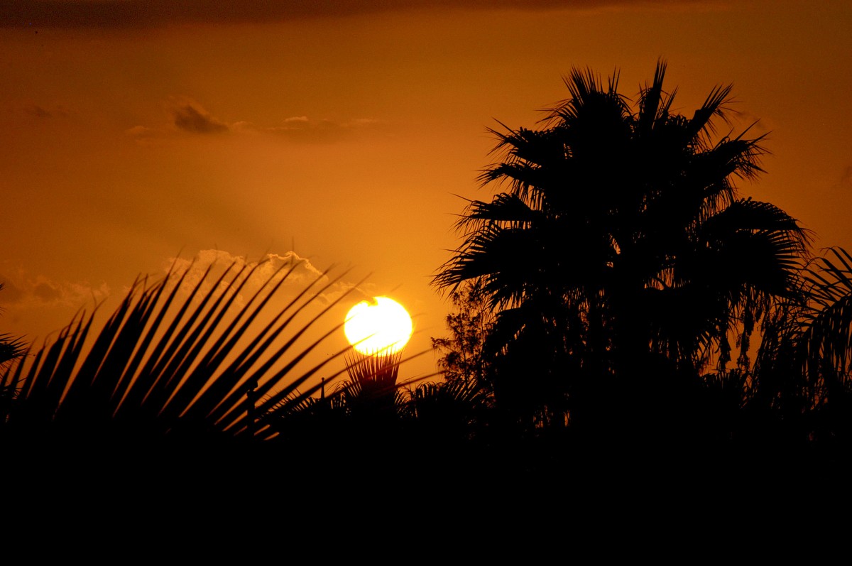 Sonnenuntergang in Playa de las Américas auf Teneriffa. Aufnahme: Oktober 2008.