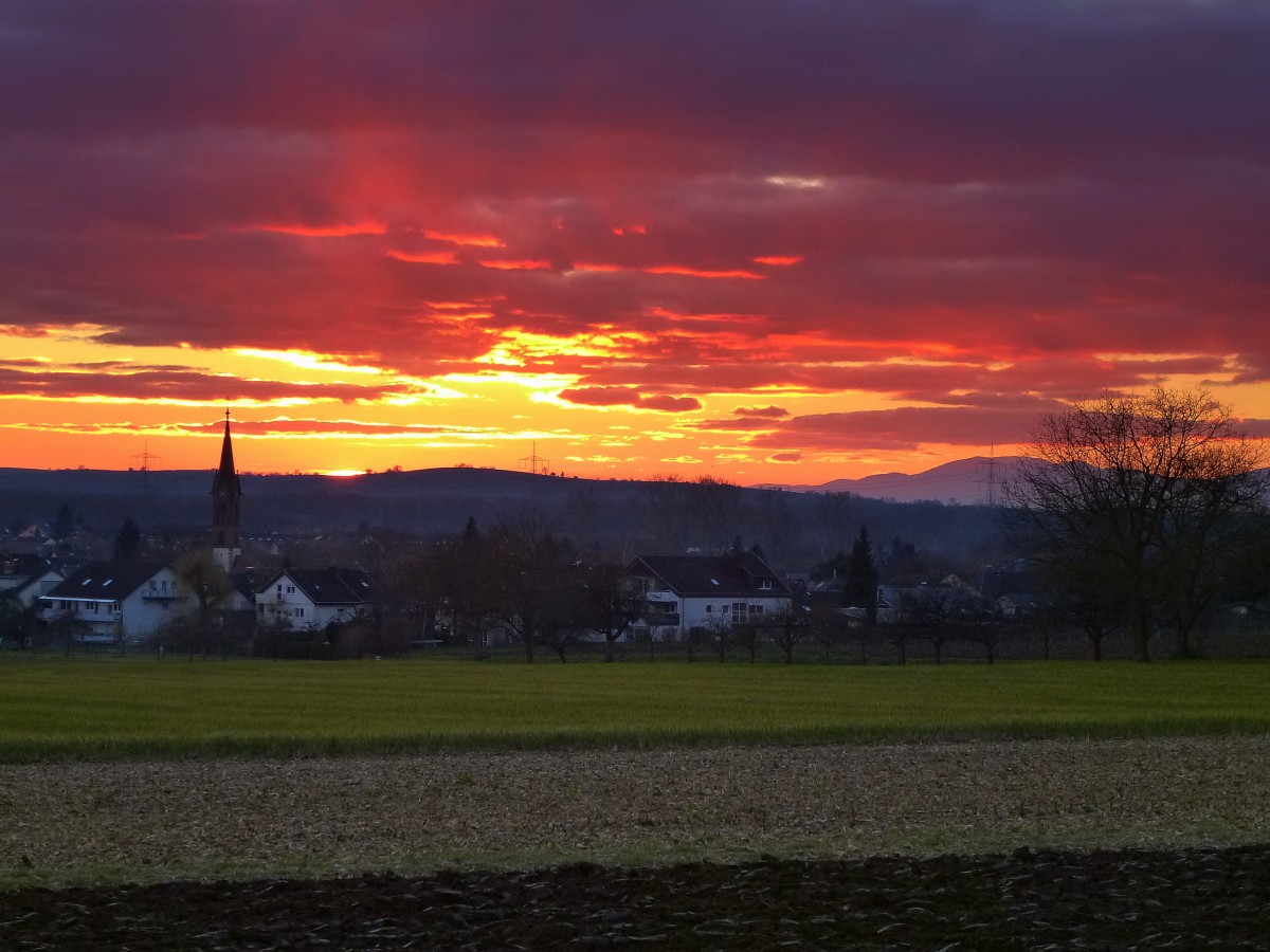 Sonnenuntergang in der Rheinebene, im Vordergrund der Ort Buchheim, rechts im Hintergrund die Vogesen, Dez.2013