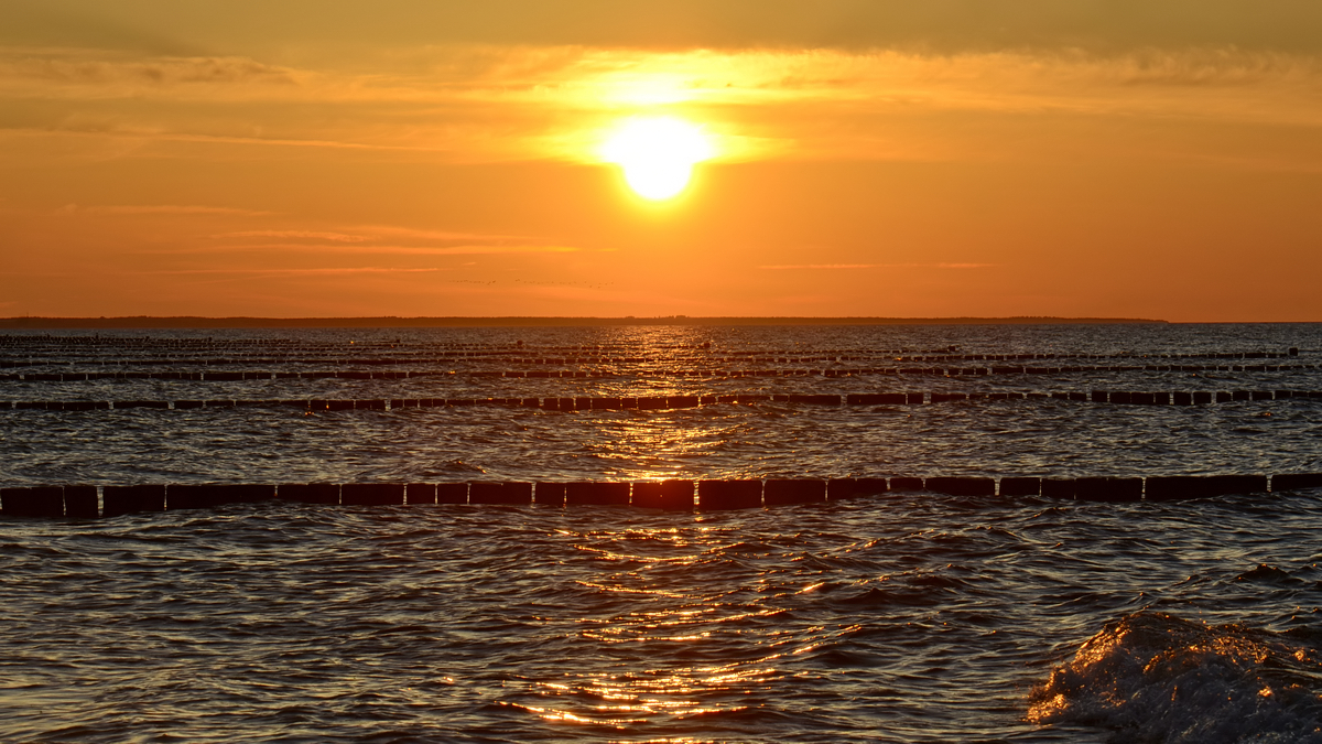 Sonnenuntergang über der Ostsee. (Koserow, Juni 2011)