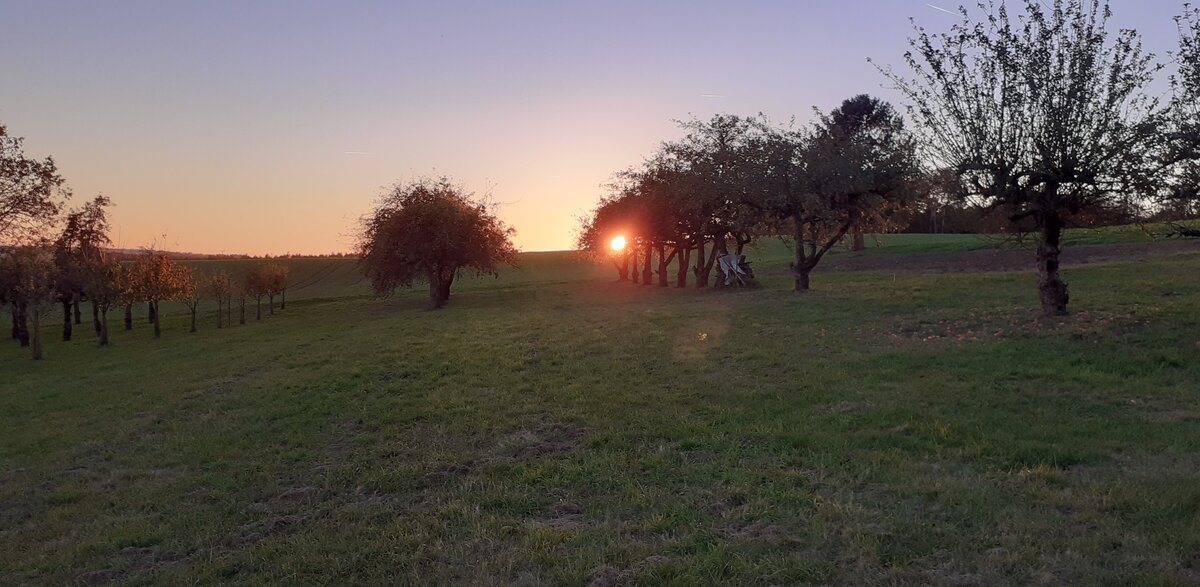 Sonnenuntergang überm Hügel in Reichenbuch beim Neubauviertel. 24.10.2021