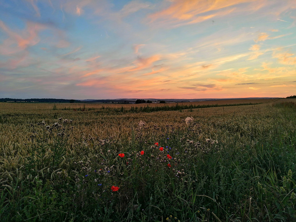 Sonnenuntergang in Zeulenroda, nähe Langenwolschendorf im Vogtland. Foto 23.07.2020