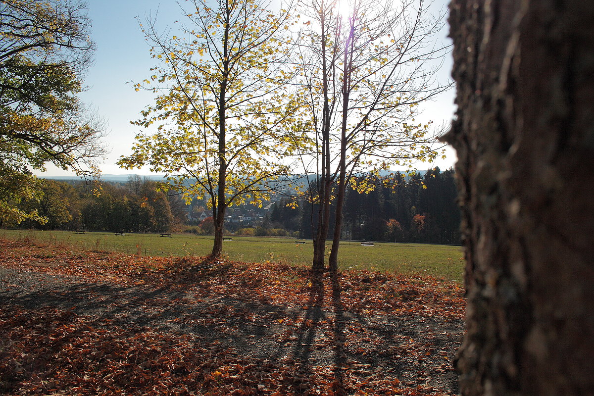 Sonniger Oktobertag an der Alten Harzburger Straße bei Braunlage; Aufnahme um die Mittagszeit des 17.10.2018...