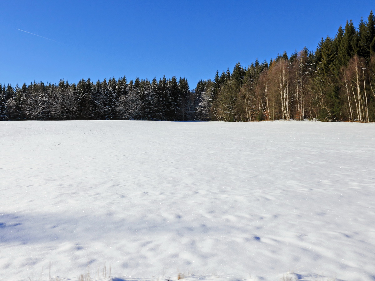 Sonntag der 22. Januar 2017, Zugausblick bei der Fahrt mit der Harzer Schmalspurbahn bei Mägdesprung. 