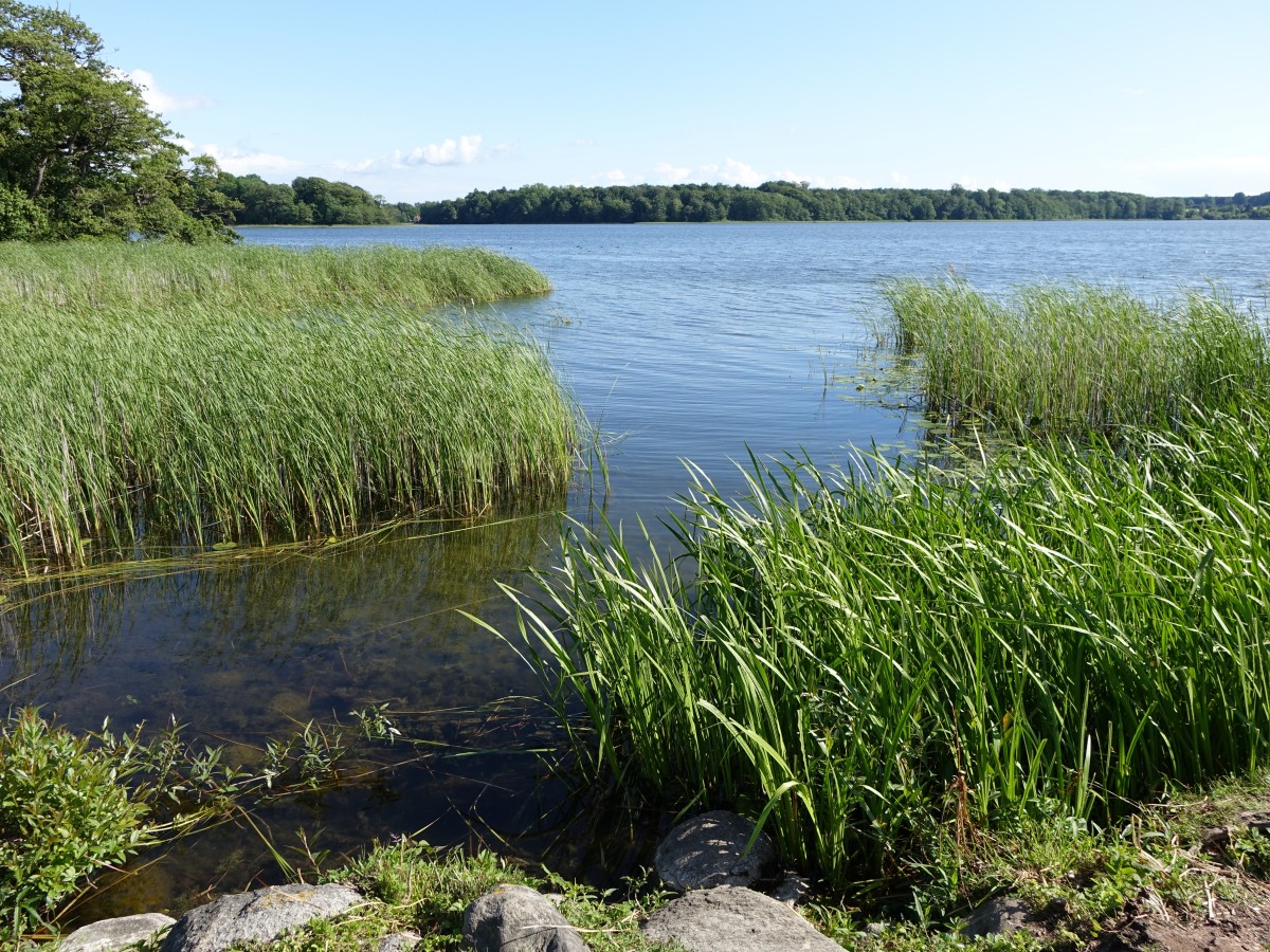 Sorø See in der dänischen Provinz Seeland (20.06.2015)