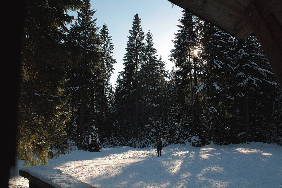 Spätnachmittagssonne an der Schutzhütte bei der Bärenbrücke im Bodetal; Aufnahme vom 14.02.2018 bei Braunlage...