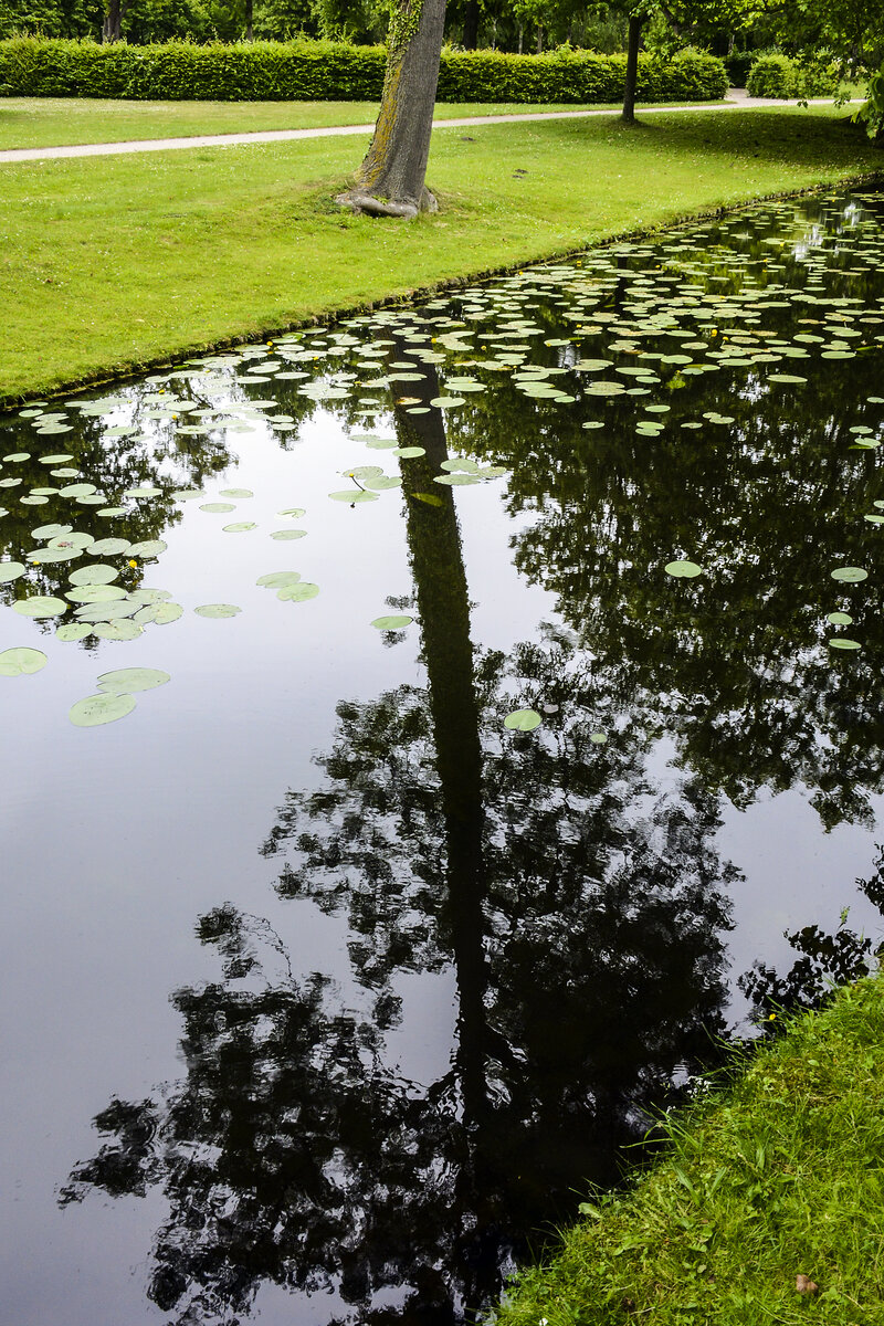 Spiegelung im Kanal des Schweriner Schlossparks. Aufnahme: 17. Juni 2022.
