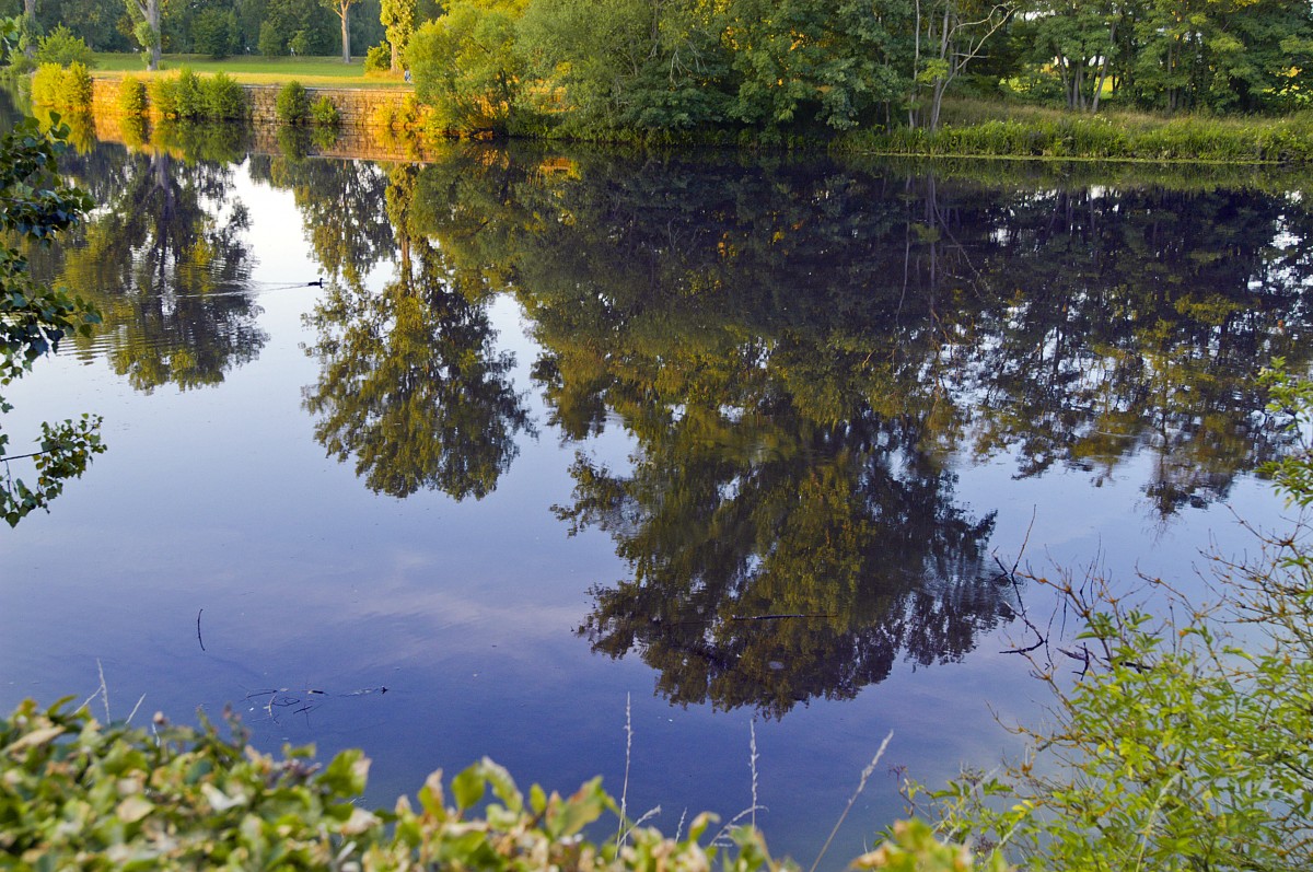 Spiegelung in der Reginas südlich von Bamberg. Aufnahme: Juli 2008.