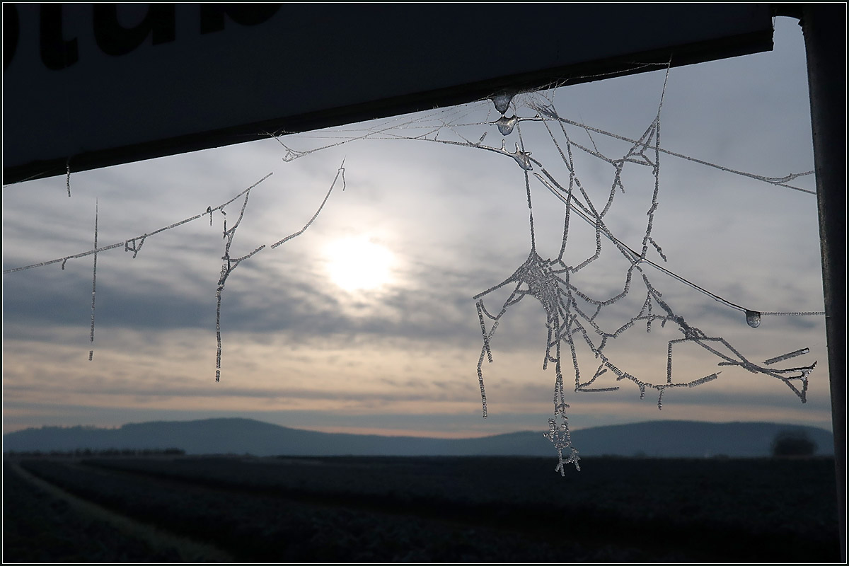 Spinnennetze -

Auch ein Verkehrsschild wurde von einer Spinne zum Bau eines Netzes herangezogen. Die Kälte und das Eis lassen es zu einem besonderen Kunstwerk werden.

Bei Rommelshausen.

21.11.2020 (M)
