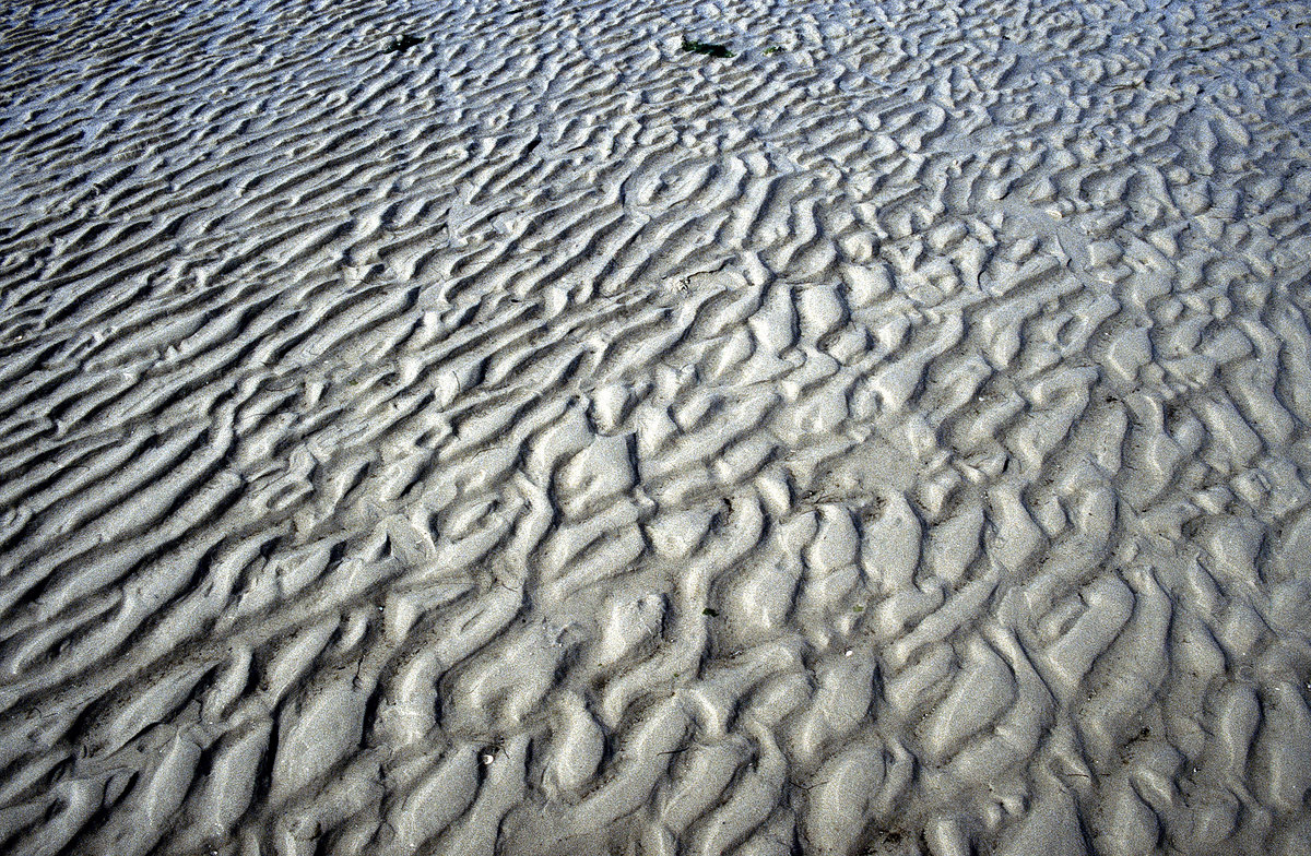 Spuren im Wattenmeer westlich von der Insel Amrum. Bild vom Dia. Aufnahme: August 1999.