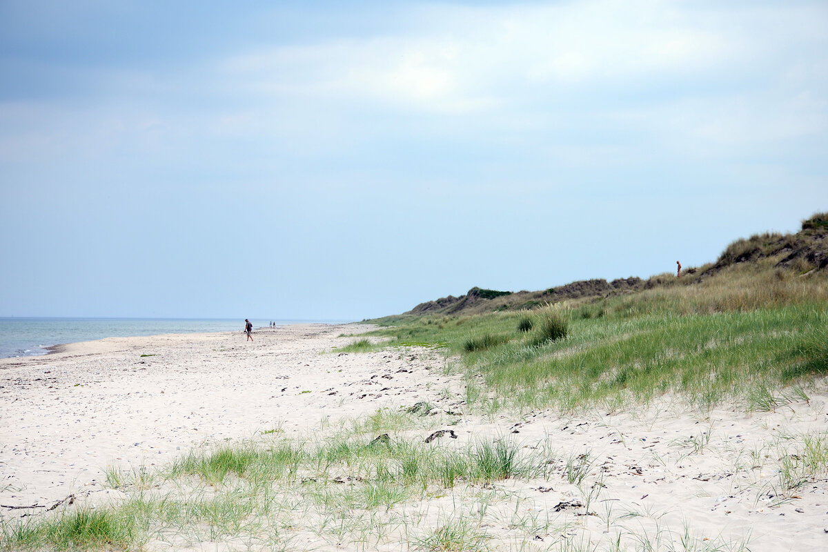 Stængehus Strand bei Tisvilde Hegn in Nordseeland. Aufnahme: 21. Juni 2023.