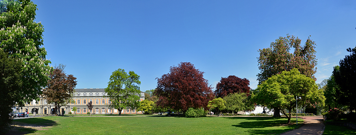 Stadtgarten in Bonn, im Hintergrund Teil der Uni - 23.04.2014