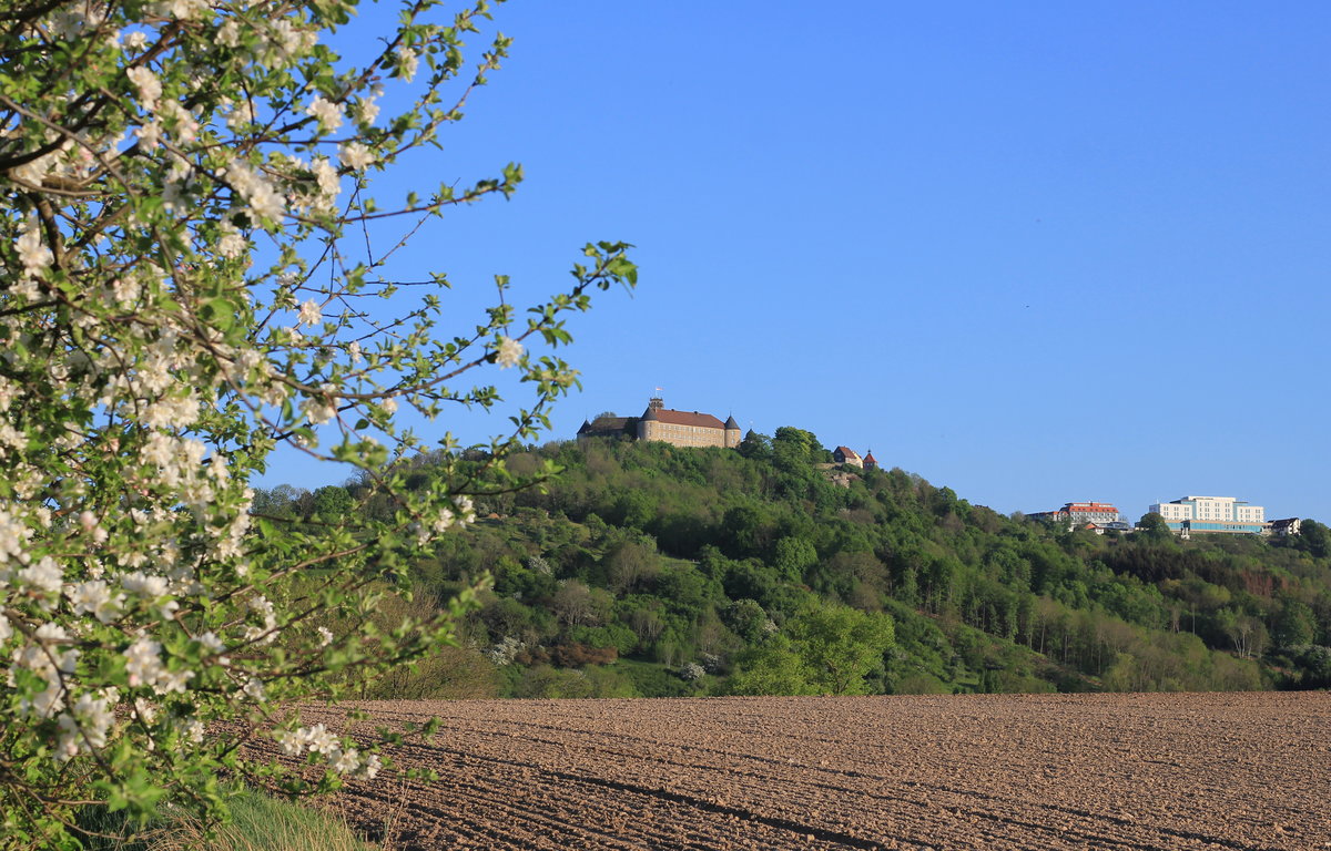 Stadtkulisse Waldenburg hinter einem blühenden Apfelbaum am 25.04.2020. 