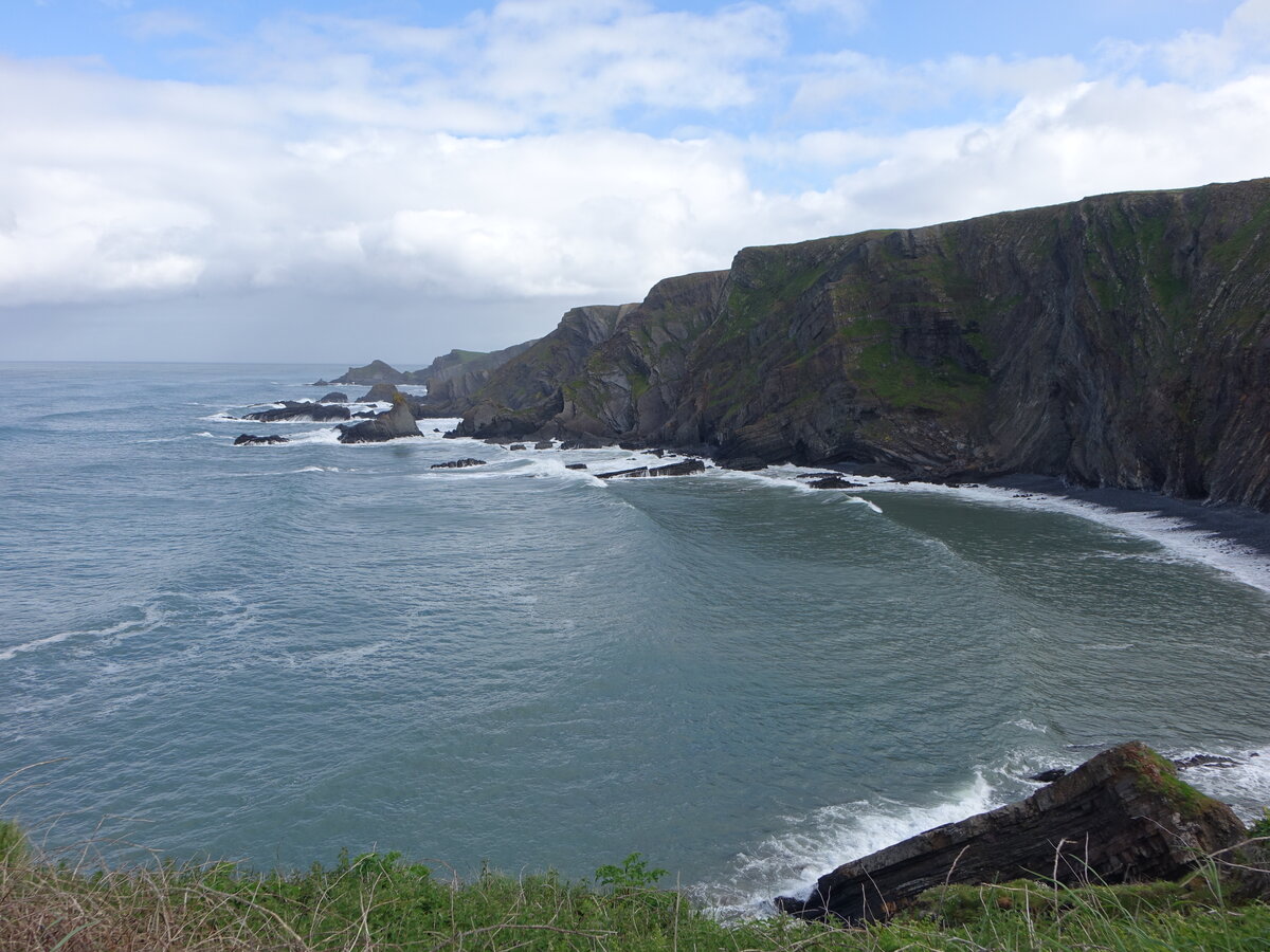 Steilküste an der South West Coast am Hartland Quay Hotel, Devon (14.05.2024)