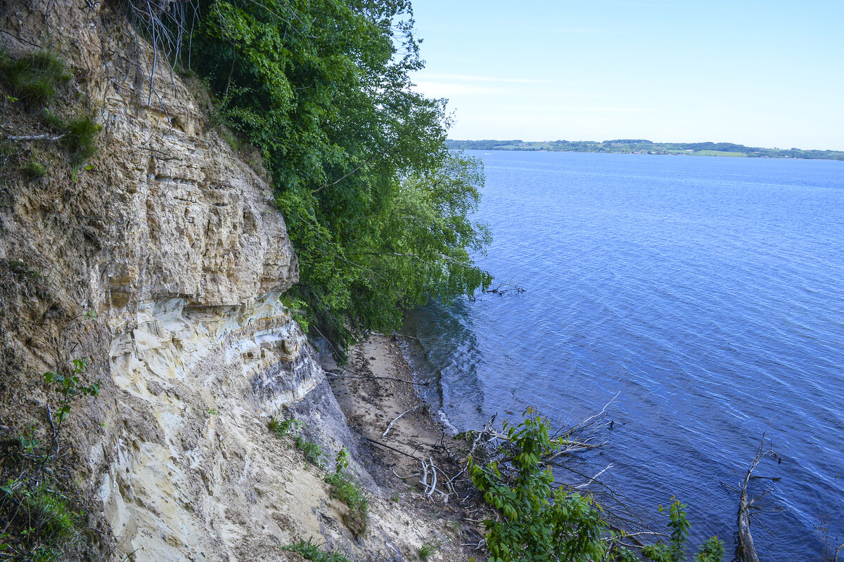 Steilküste bei Brejning an der Vejle Fjord. Aufnahme: 5. Juni 2022.