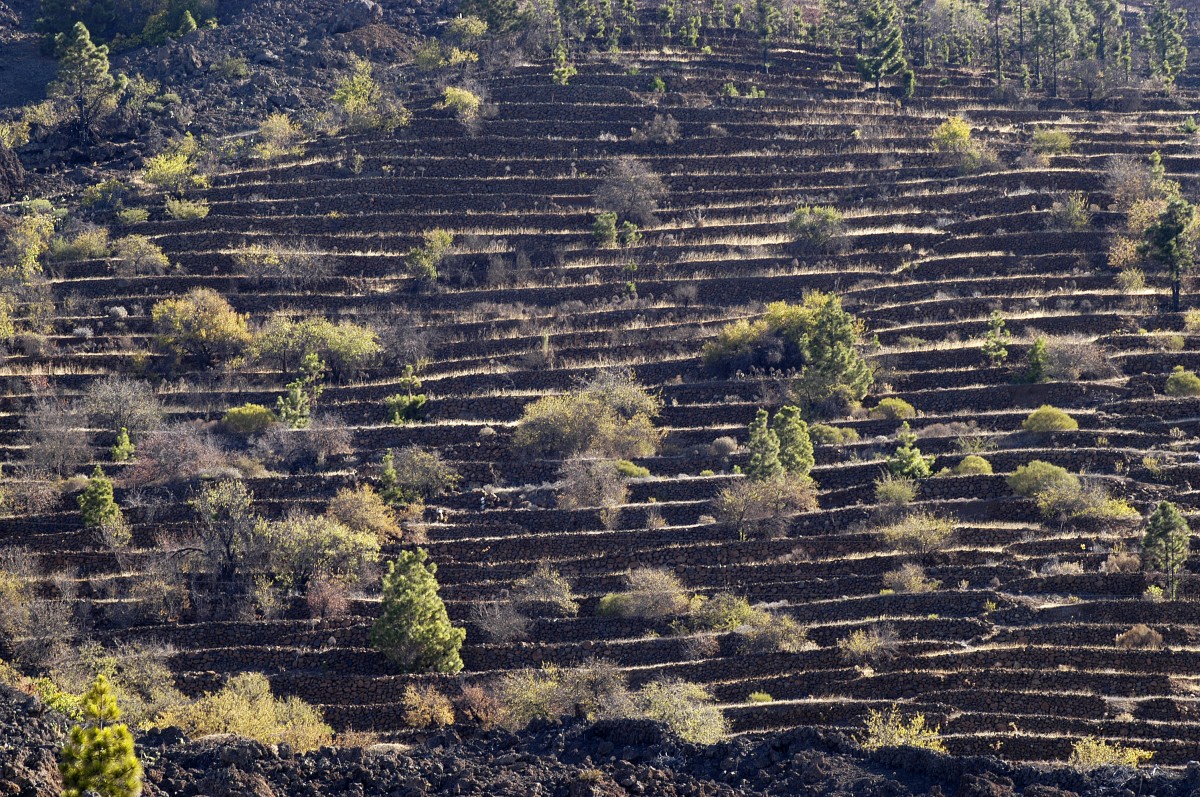 Steinwälle am Berg bei Santiago del Teide - Aufnahme: Oktober 2008.