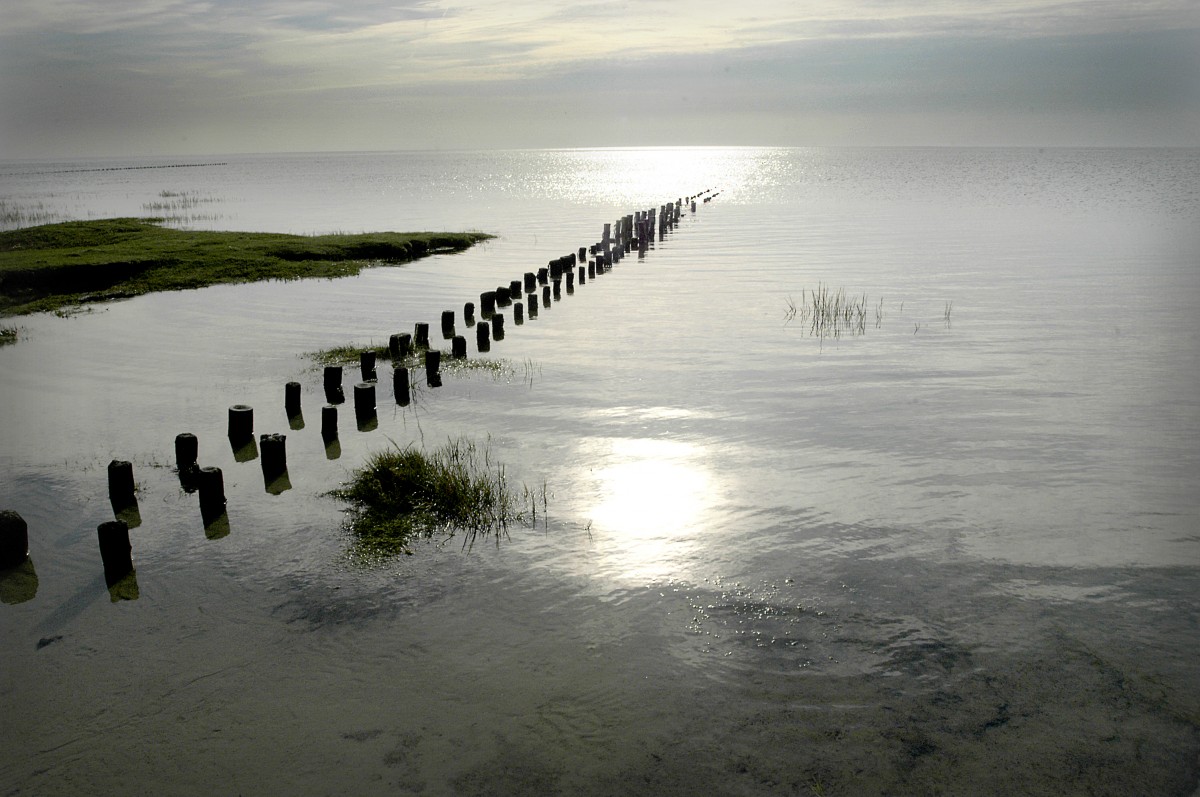 Stimmungsfoto von der Westküste auf der Insel Mandø im dänischen Wattenmeer. Mandø ist die einzige dänische Gezeiteninsel. Die Einwohner von Mandø lehnen den Bau eines gezeitenunabhängigen Dammes ab, da durch diese Maßnahme eine große Zahl an Touristen auf die Insel käme, wofür Mandø jedoch zu klein ist.  Aufnahme: 2. September 2006.