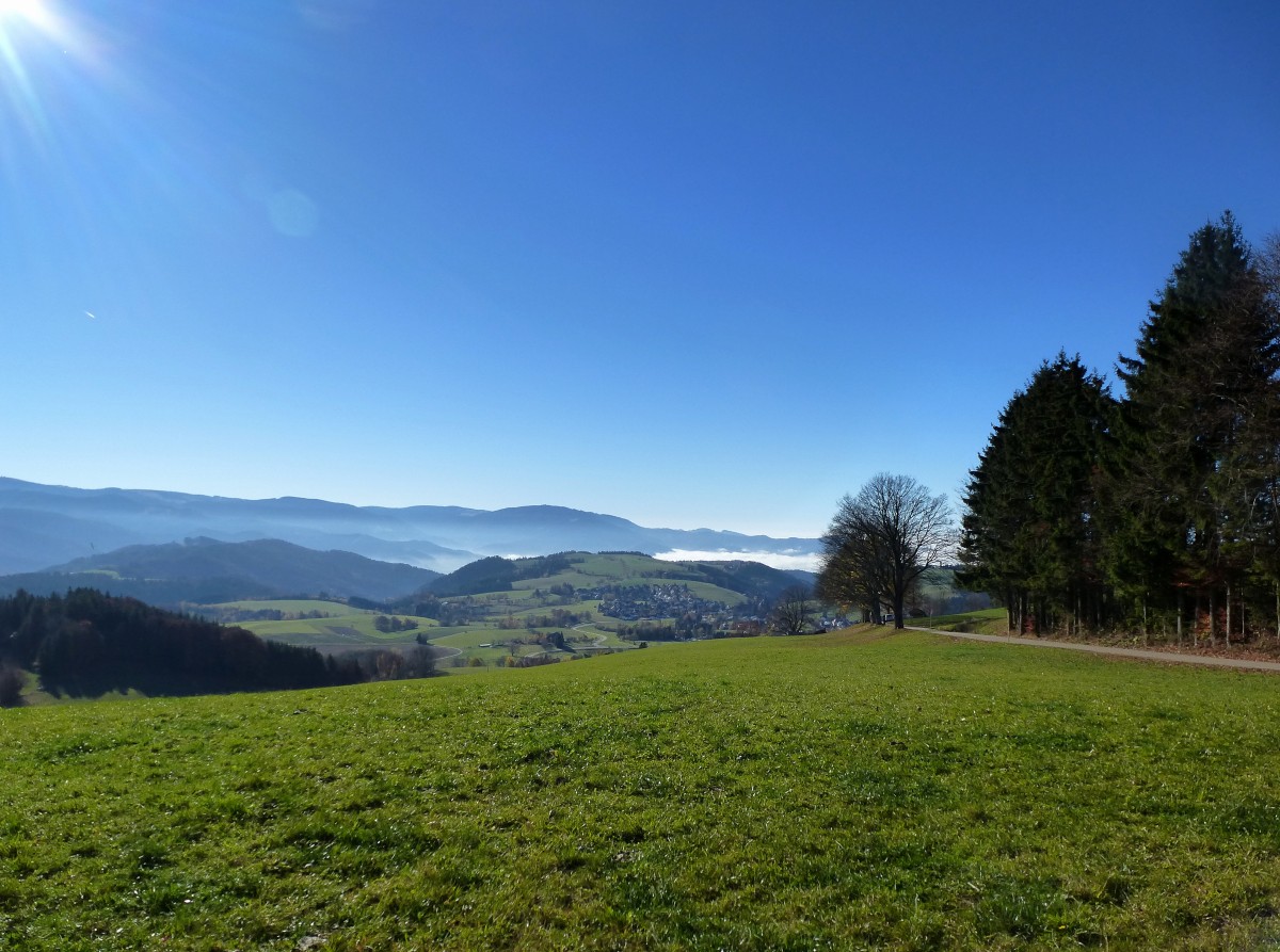 strahlender Herbsttag auf den Schwarzwaldhhen bei St.Peter, Nov.2015