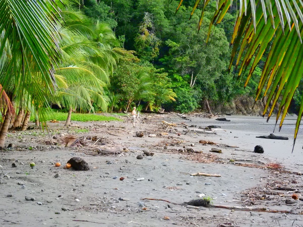 Strand Bahia Balena, an der Punta Mala, der  schlechten Küste  im Südwesten von Costa Rica. Den Namen bekam die Küste wegen ihrer Strömungen, Krokodile und Haie. Foto vom August 2016.